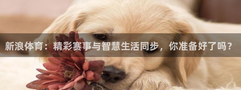 三牛平台娱乐