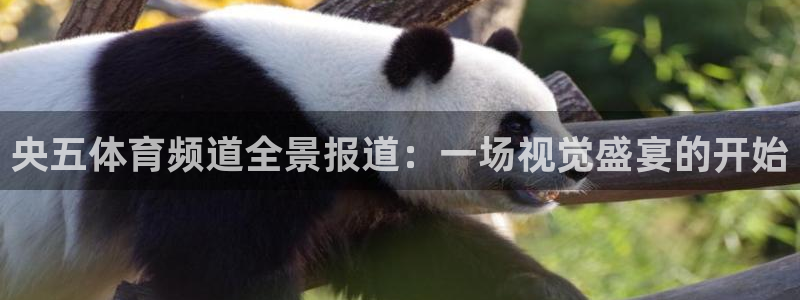 三牛娱乐如何注册