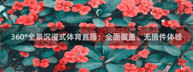三牛平台娱乐