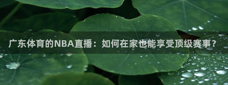 三牛娱乐注册地址