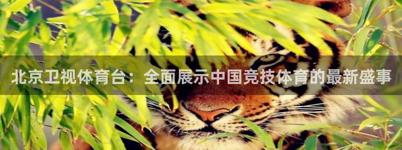 三牛娱乐招商